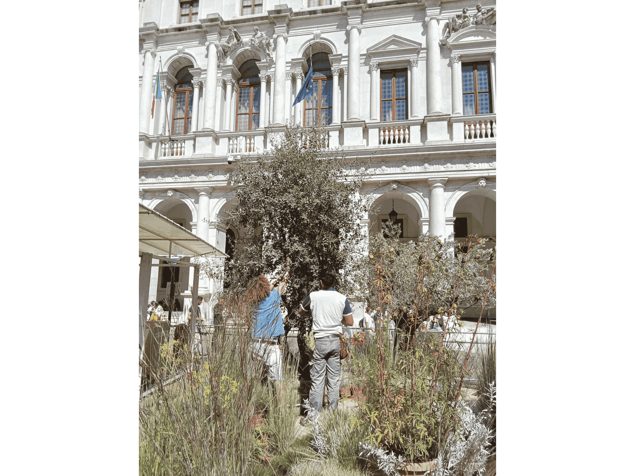 impianto-dilluminazione-al-landscape-festival-2025-13